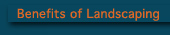 Benefits of Landscaping